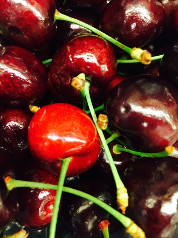 Cherry Fruits, varieties, production, seasonality