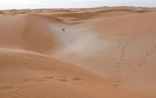 The tracks on the right are headed for Cub in the suburbs.
