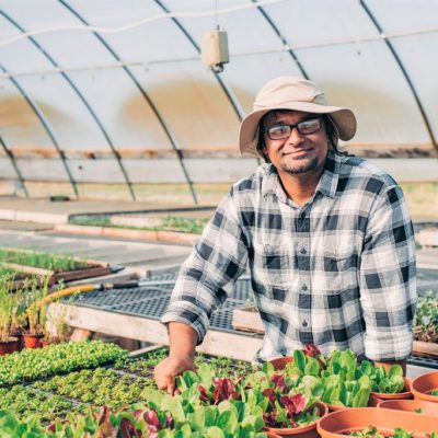 A farmer wearing a hat and standing next to plants in a greenhouse