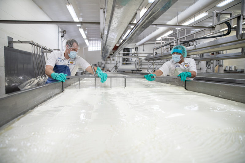 Two people working in a cheesemaking plant