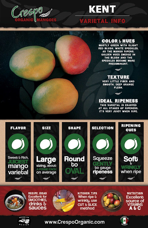 An infographic about Kent Mangoes