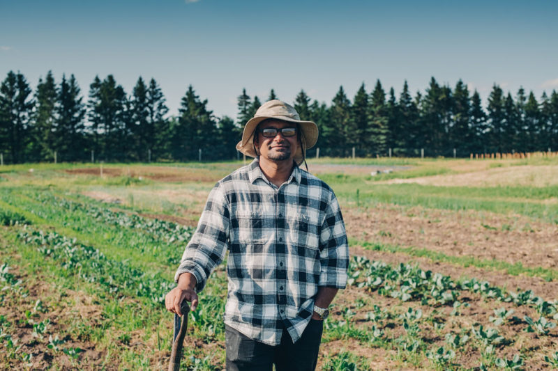 A person wearing a hat and a checkered shirt standing in an agricultural field