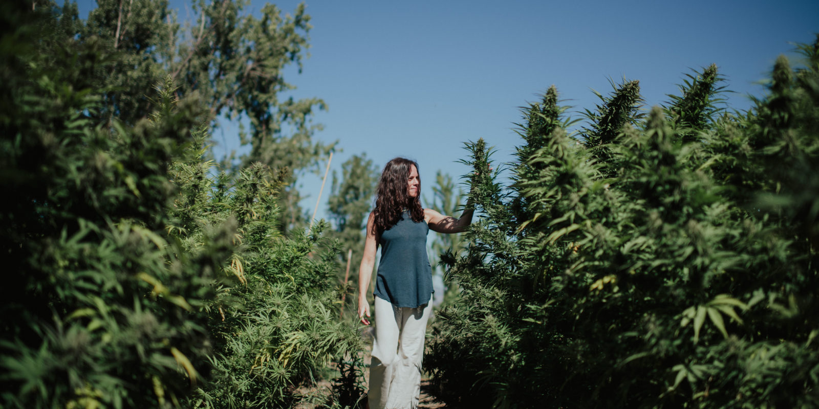 A woman walking through tall green plants