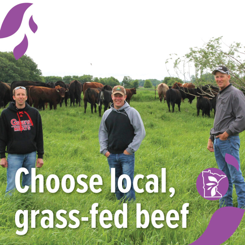 three people standing in front of cows with text overlay reading "choose local, grass-fed beef"