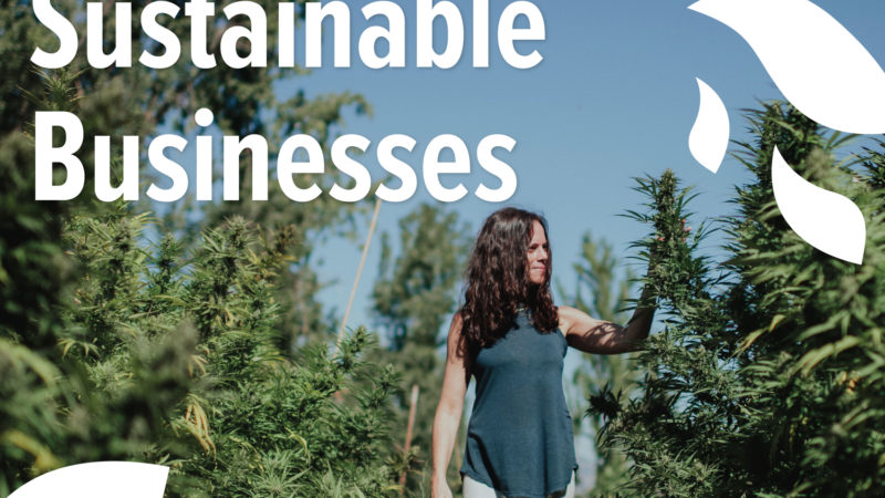 A woman walking through tall green plants with text overlay that reads "Shop small-scale, sustainable businesses"