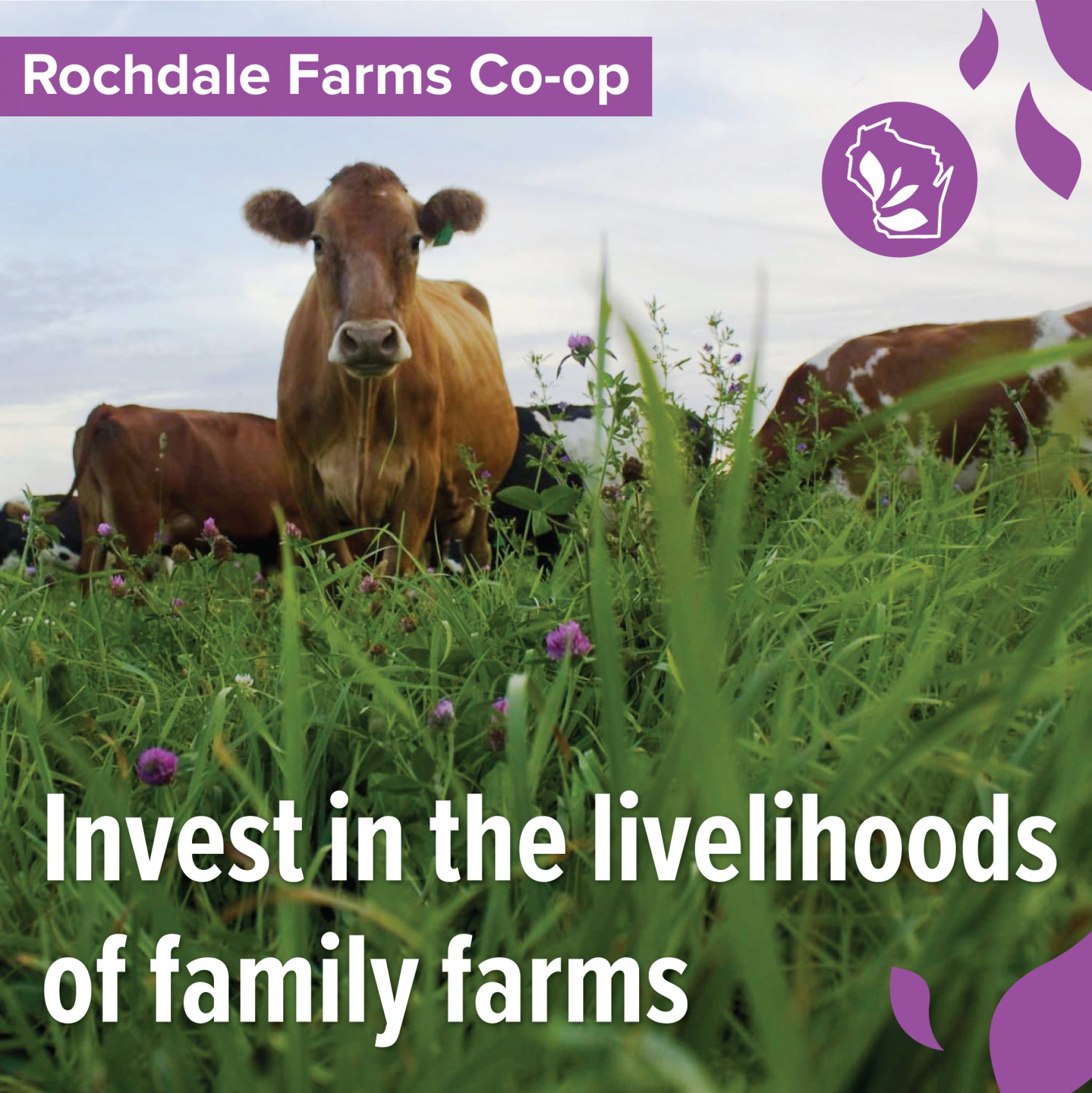 Seward Community Coop Everyone Minneapolis, Minnesota