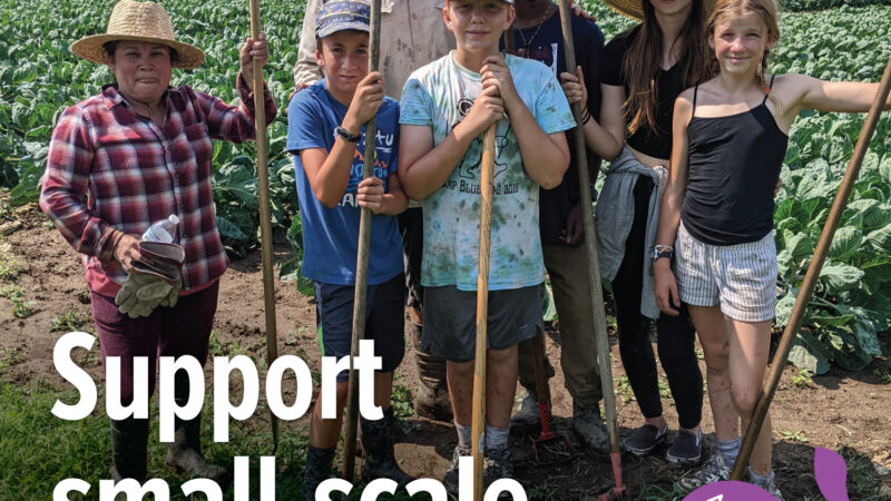 A group of people posing for a picture on a farm with text overlay reading "support small-scale, local growers"