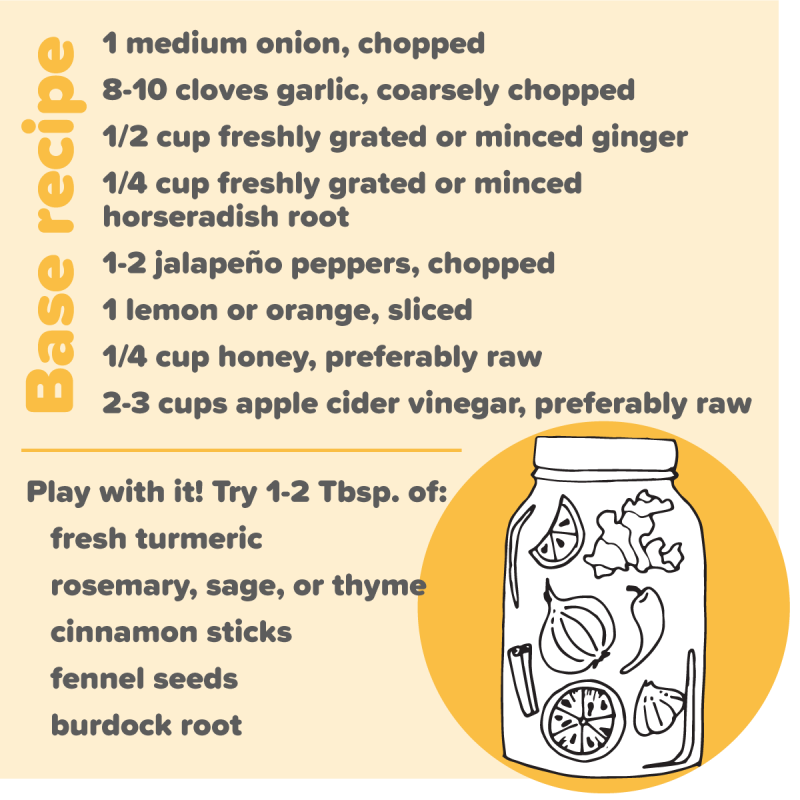 illustration and recipe for fire cider