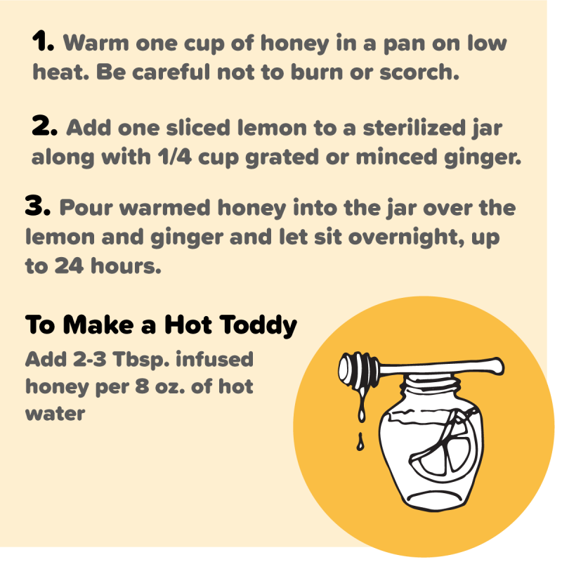 illustration and instructions for lemon-infused honey