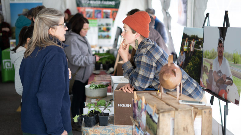 shopper talking to a farmer at the 2019 CSA fair