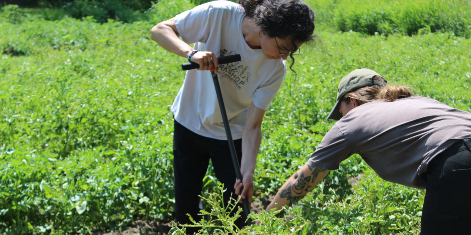 Two people working in a field