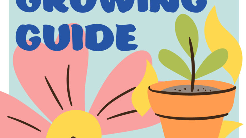 Plant illustrations with text reading "Seward Co-op Growing Guide"
