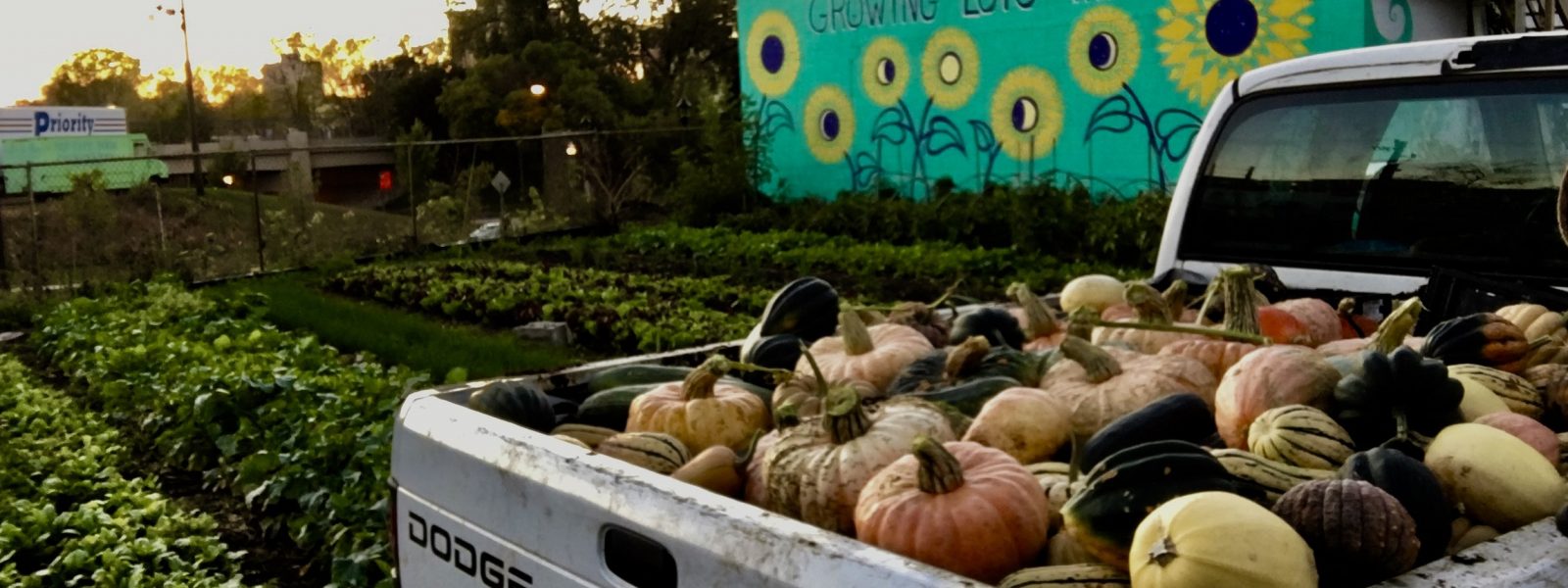 A truck full of pumpkins next to a field
