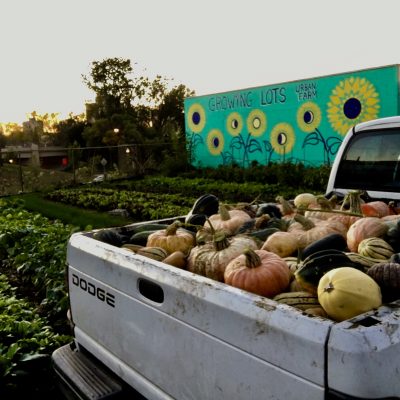 A truck full of pumpkins next to a field