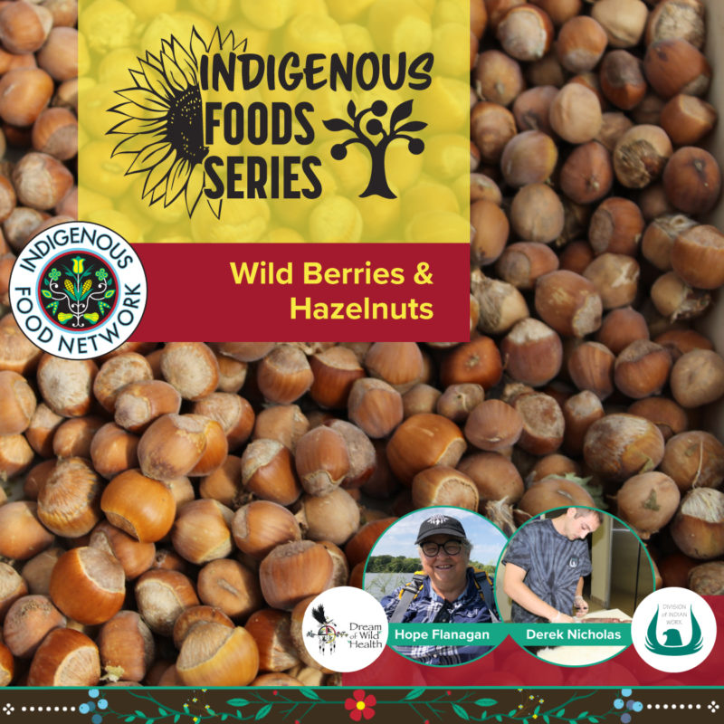 A graphic for a class in the Indigenous Foods Class Series on Wild Berries and Hazelnuts