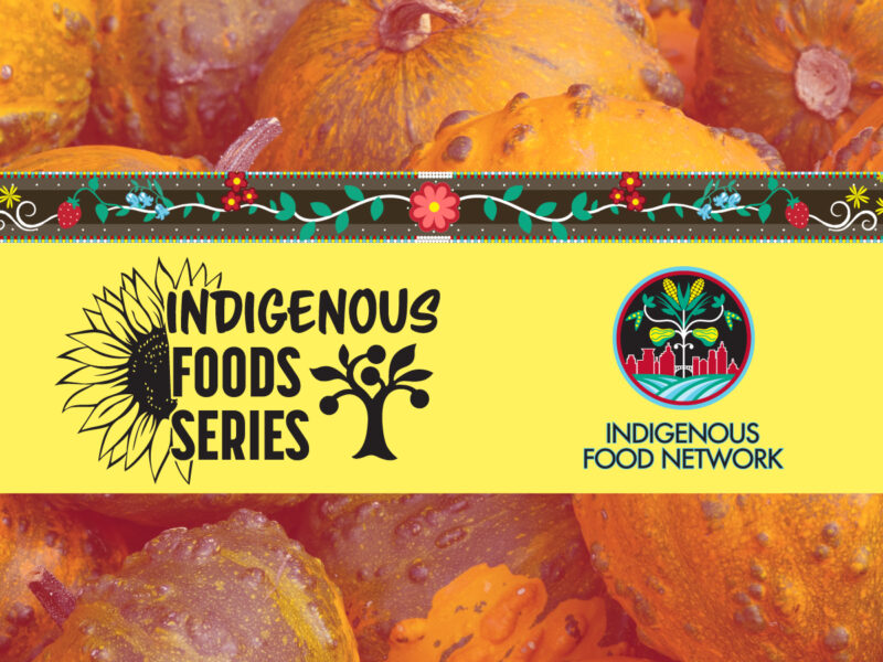 A graphic with a photo of squash and the logos for Indigenous Foods Series and Indigenous Food Network