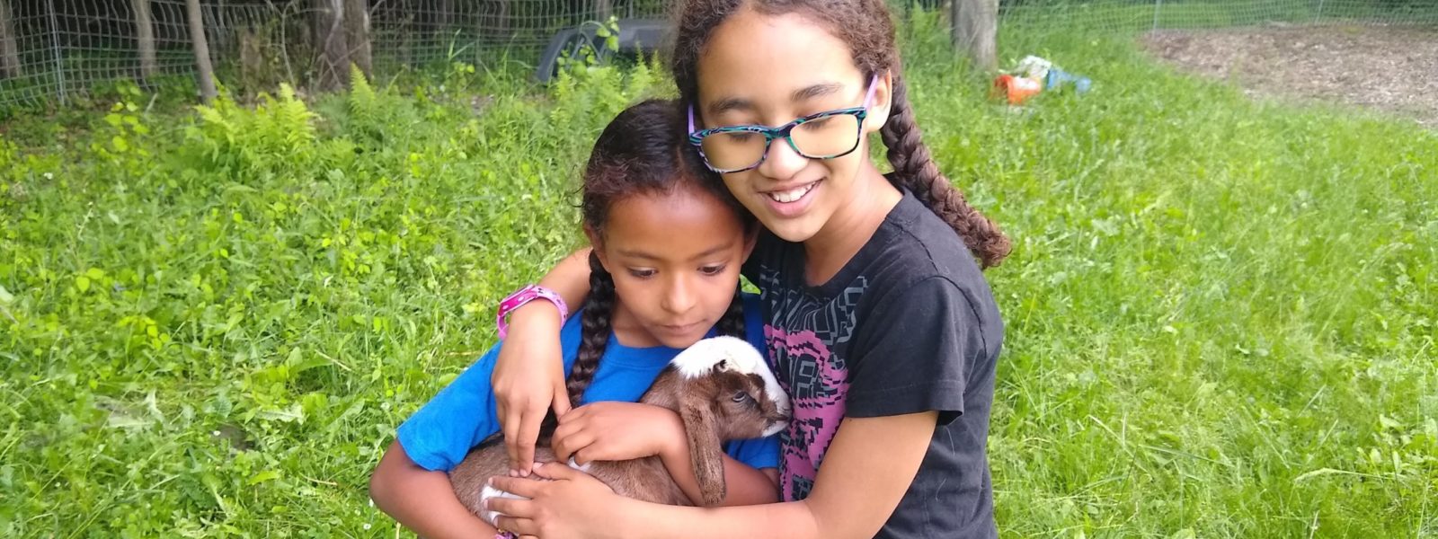 Two young girls embracing and holding a baby goat