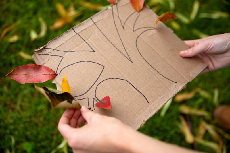 A photo of a piece of cardboard with a tree drawn on it and fall leaves attached to its branches