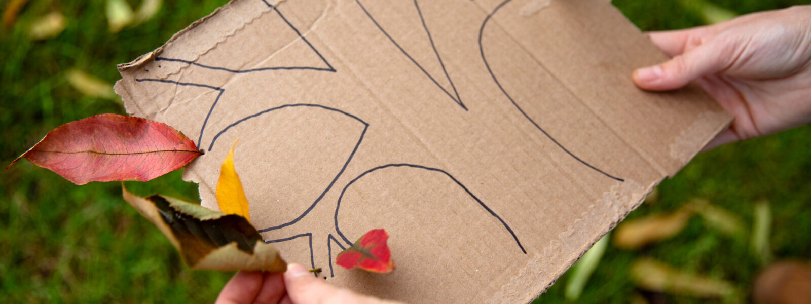 A photo of a piece of cardboard with a tree drawn on it and fall leaves attached to its branches