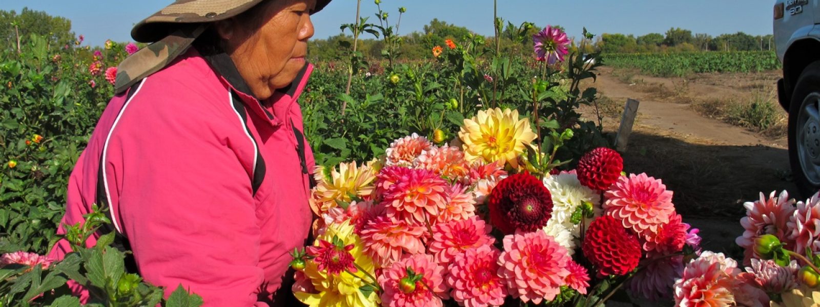a person carrying a large pot of flowers