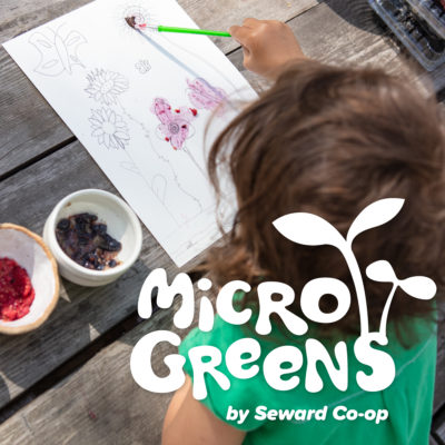 A child painting with the juice from berries with text overlay that reads "Microgreens"