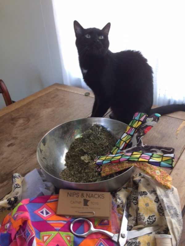 black cat in front of bowl of catnip and fabric scraps
