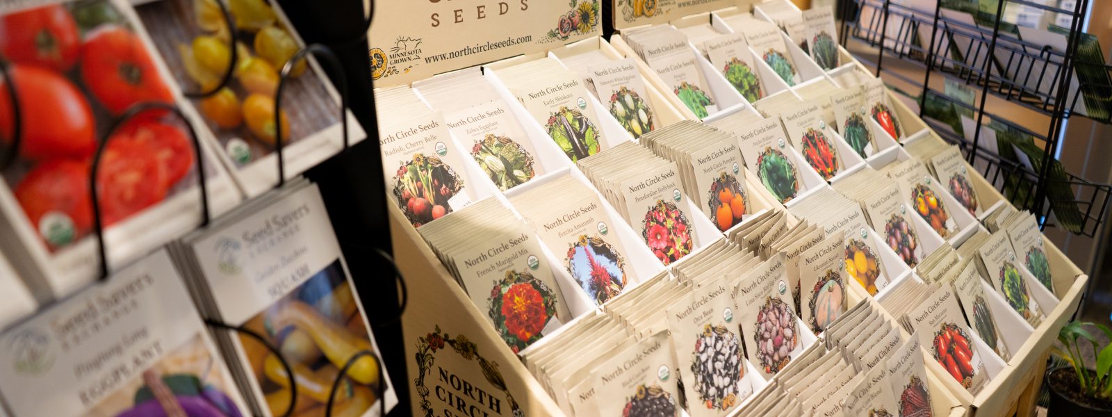 A variety of seed packets on a dislpay