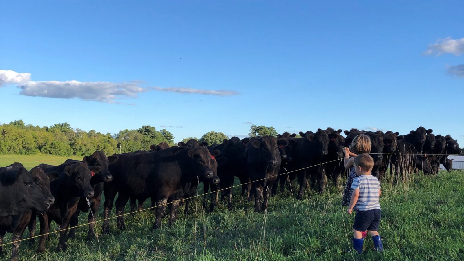 Peterson Craftsman Meats Seward Community Coop