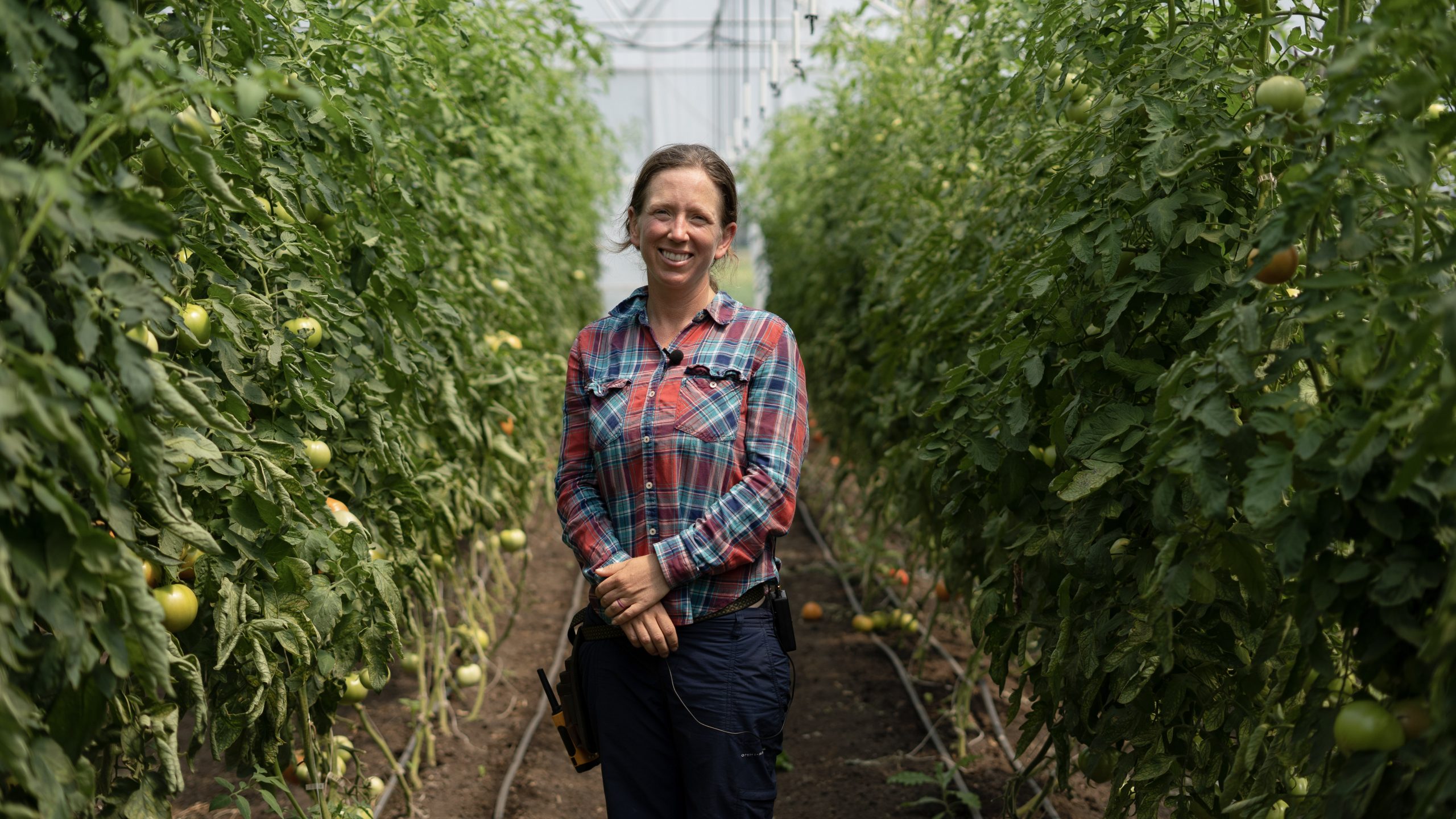 Seeds Farm - Seward Community Co-op