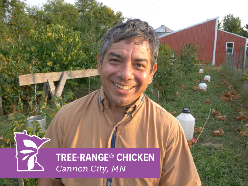A person smiling in front of a field with trees and chickens. Text overlay reads "Tree Range Chicken"