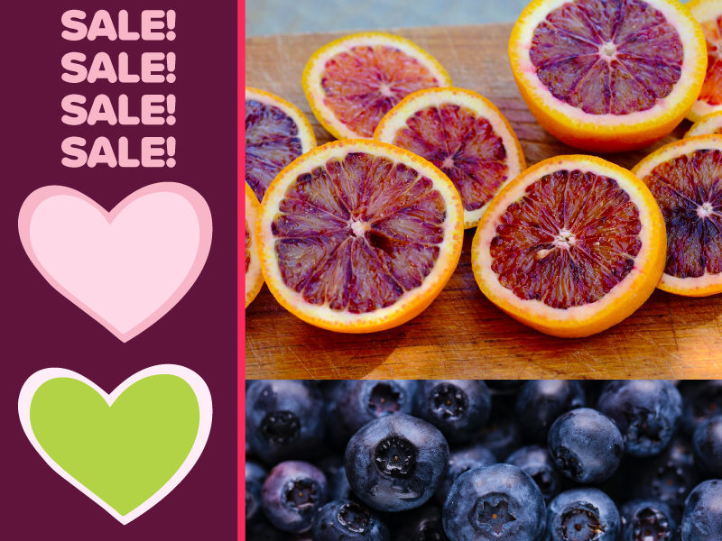A photo of blood oranges and blueberries with text that reads "sale"