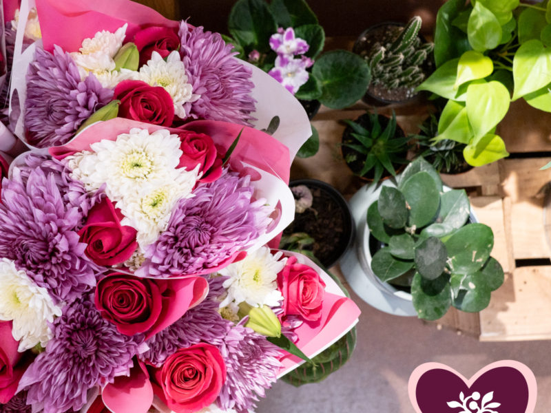 A photo of Valentine's Day flowers and houseplants