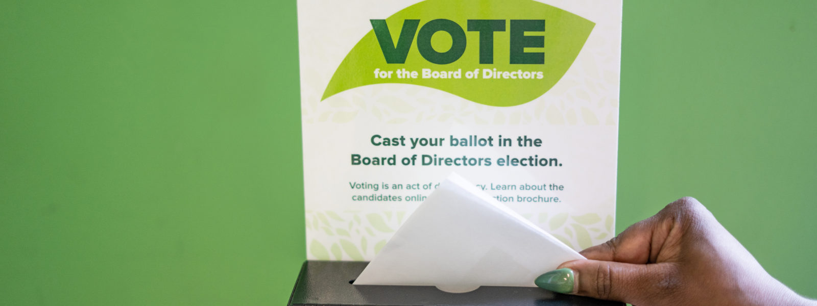 Prepare to Vote in the 2019 Board of Directors Election Seward Community Coop