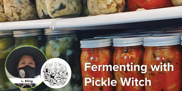 Fermenting with Pickle Witch (Virtual class) - Winter Pickle Witch Class Eventbrite E1606339837872