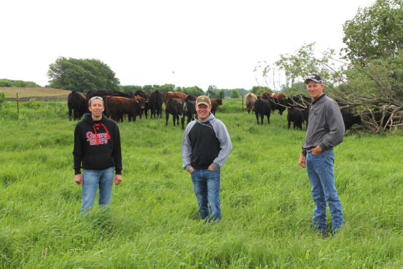 A group of people standing in front of cows