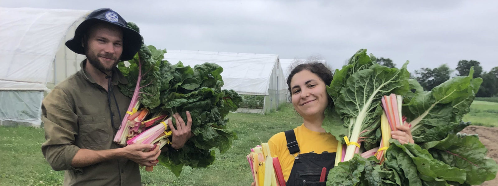 Two people holding armfuls of chard