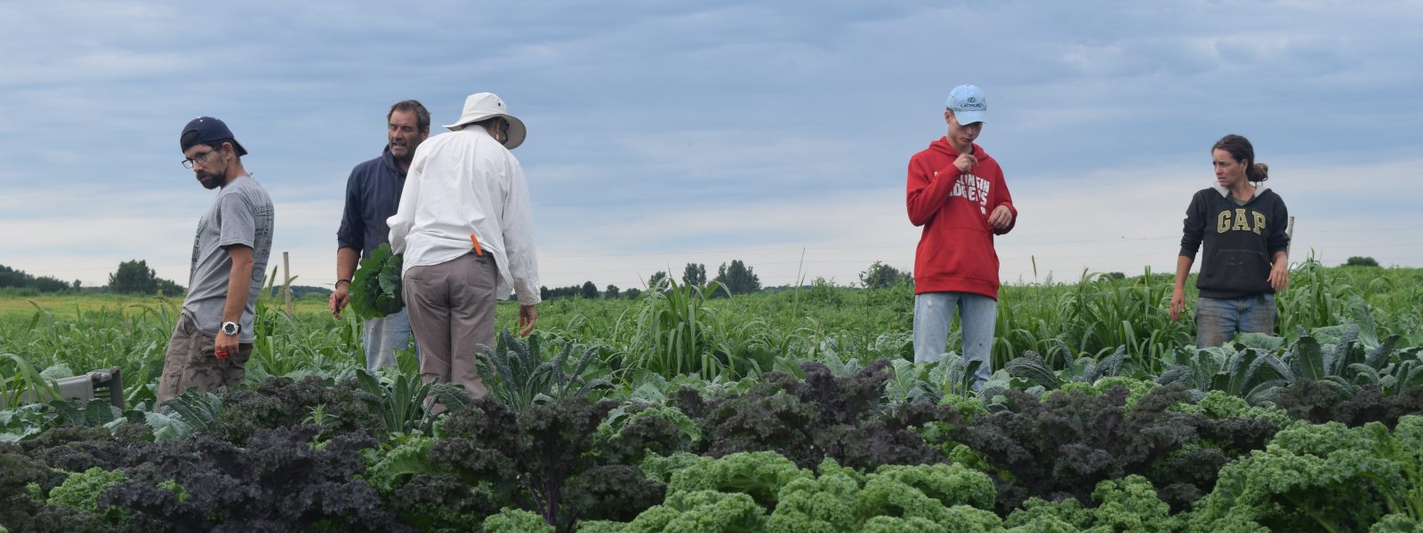 A group of people in an agricultural field