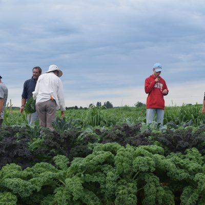 A group of people in an agricultural field