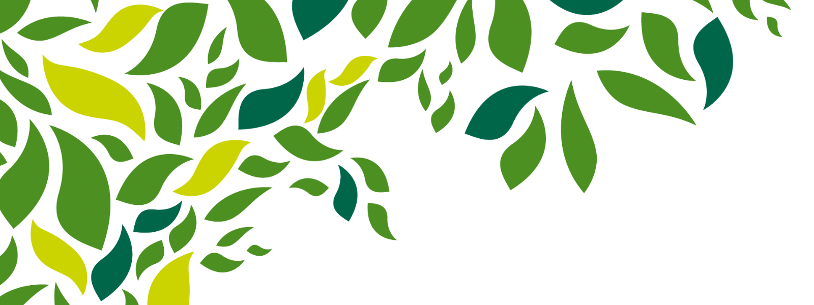 A graphic of green leaves