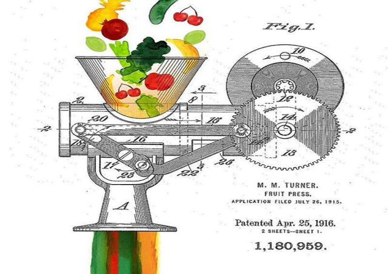 A diagram of Madeline M. Turner's fruit juicer invention