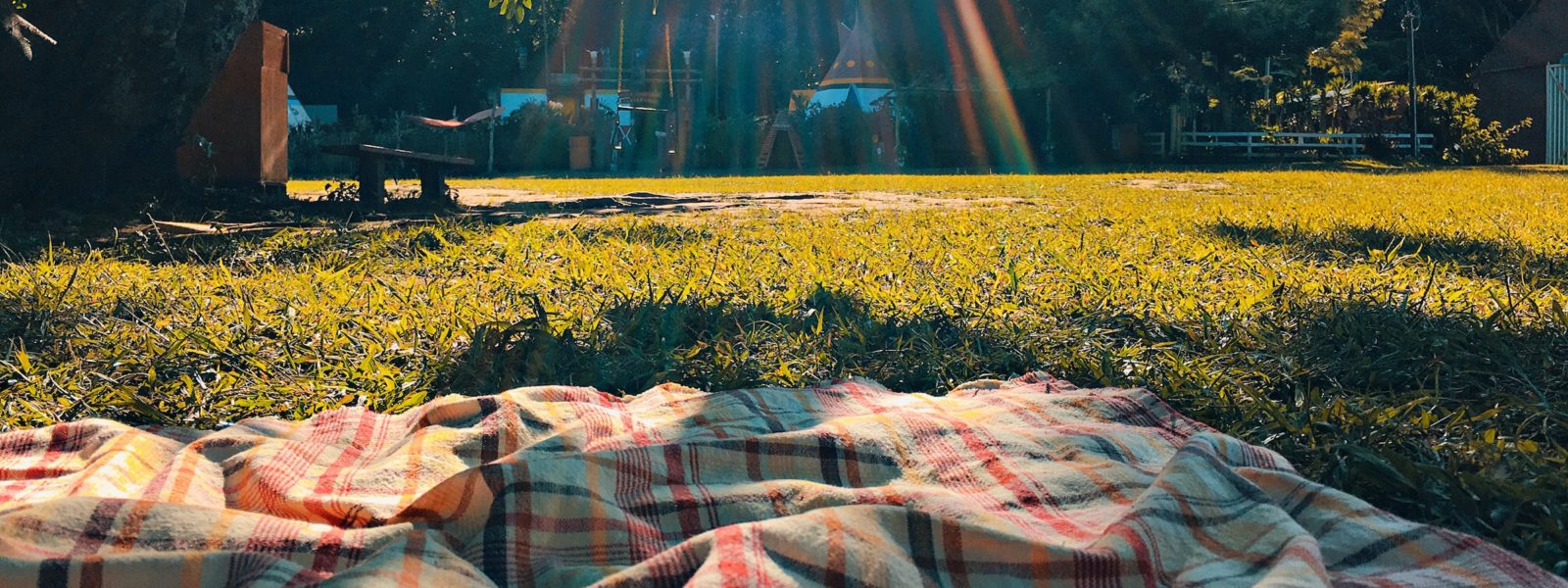 A plaid blanket on a grassy field in the sunlight