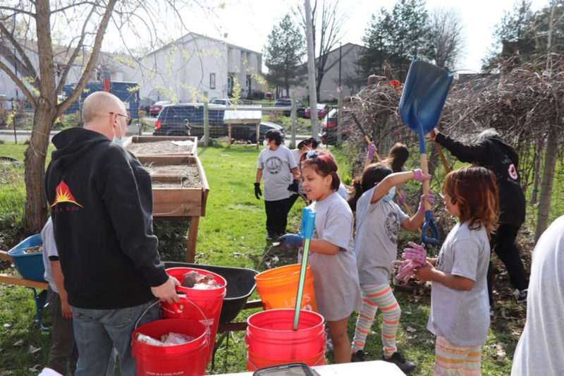 A group of children helping on a farm