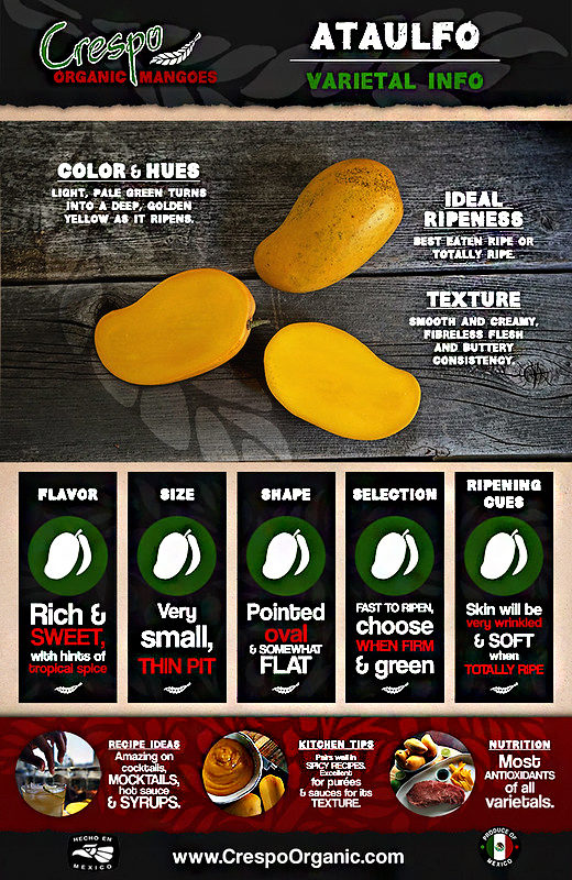 An infographic about Ataulfo mangoes