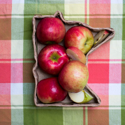 A box in the shape of Minnesota filled with apples on a red and green checkered blanket