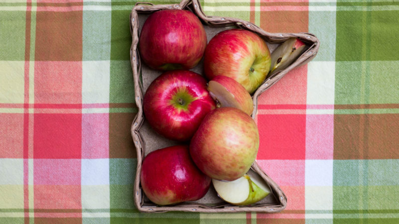A box in the shape of Minnesota filled with apples on a red and green checkered blanket