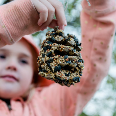 A child holding a pinecone bird feeder