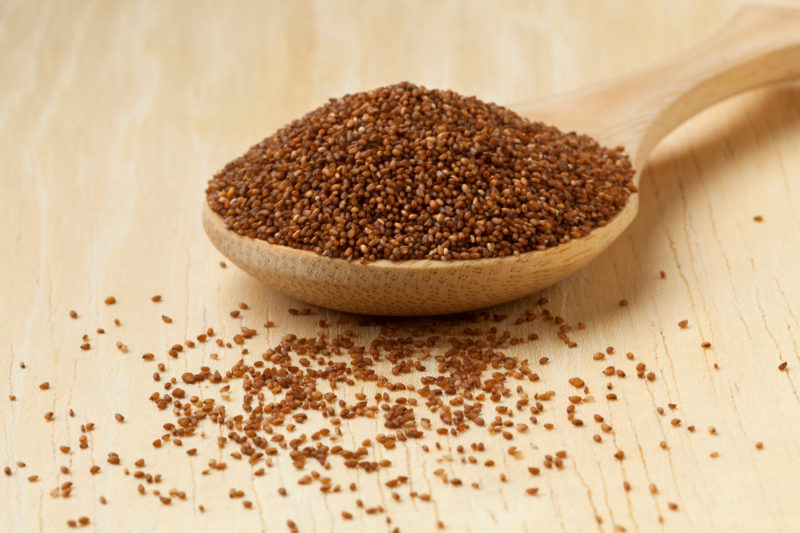 A spoonful of teff grains